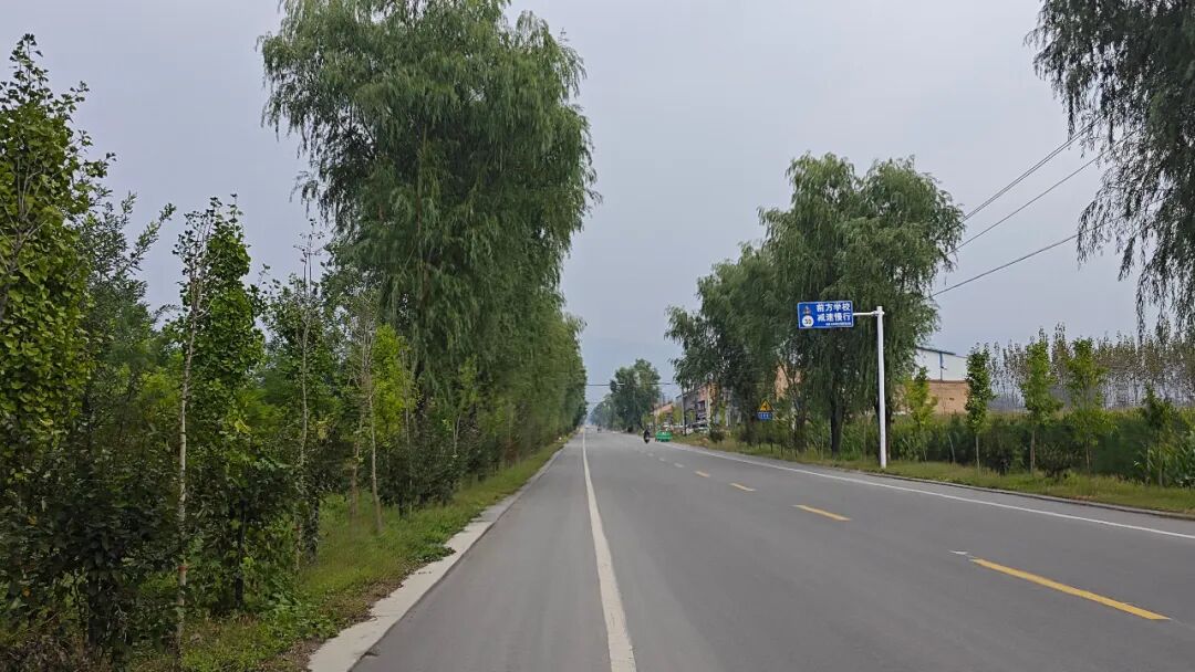 圣运律师