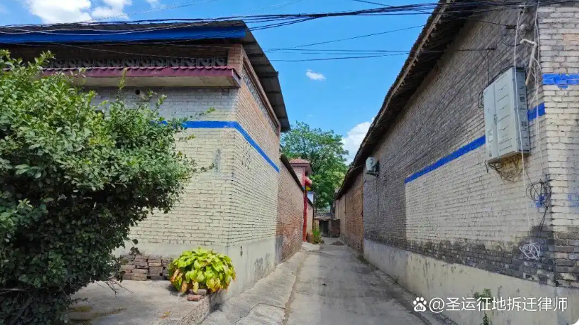 圣运律师 圣运律师